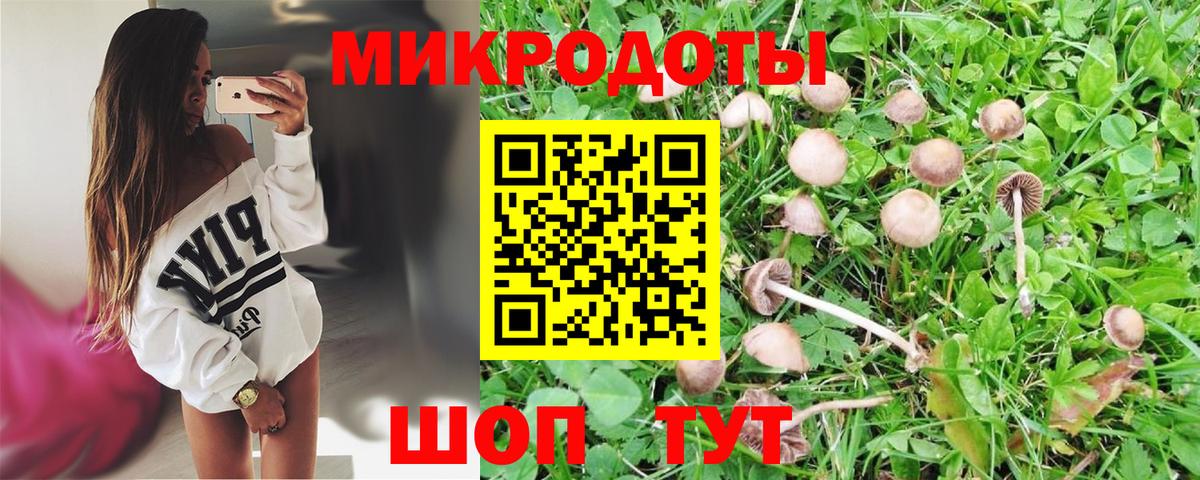 Галлюциногенные грибы GOLDEN TEACHER  Вход с VPN  Муром 