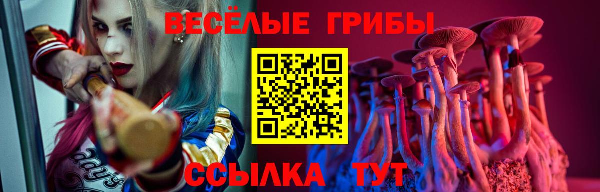 Псилоцибиновые грибы прущие грибы Муром